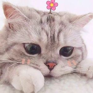 Meet your Posher, Jaylon